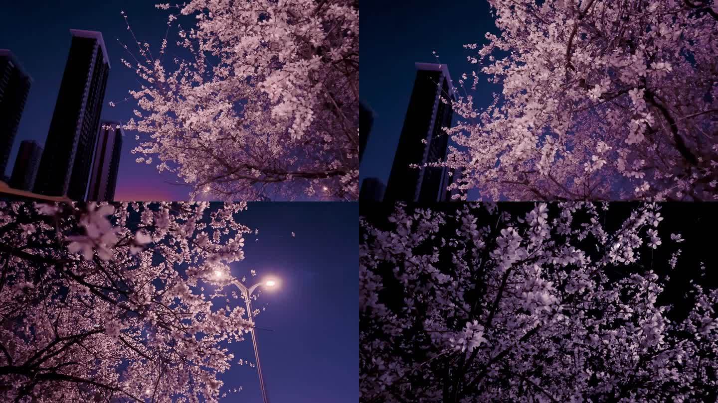 夜色桃花