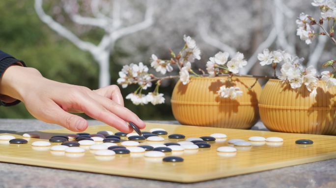 品茶喝茶下围棋看书