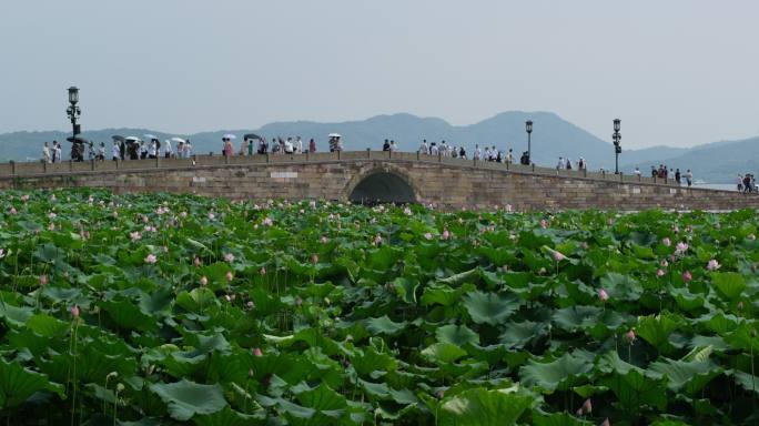很多游客在浙江杭州西湖断桥上游玩