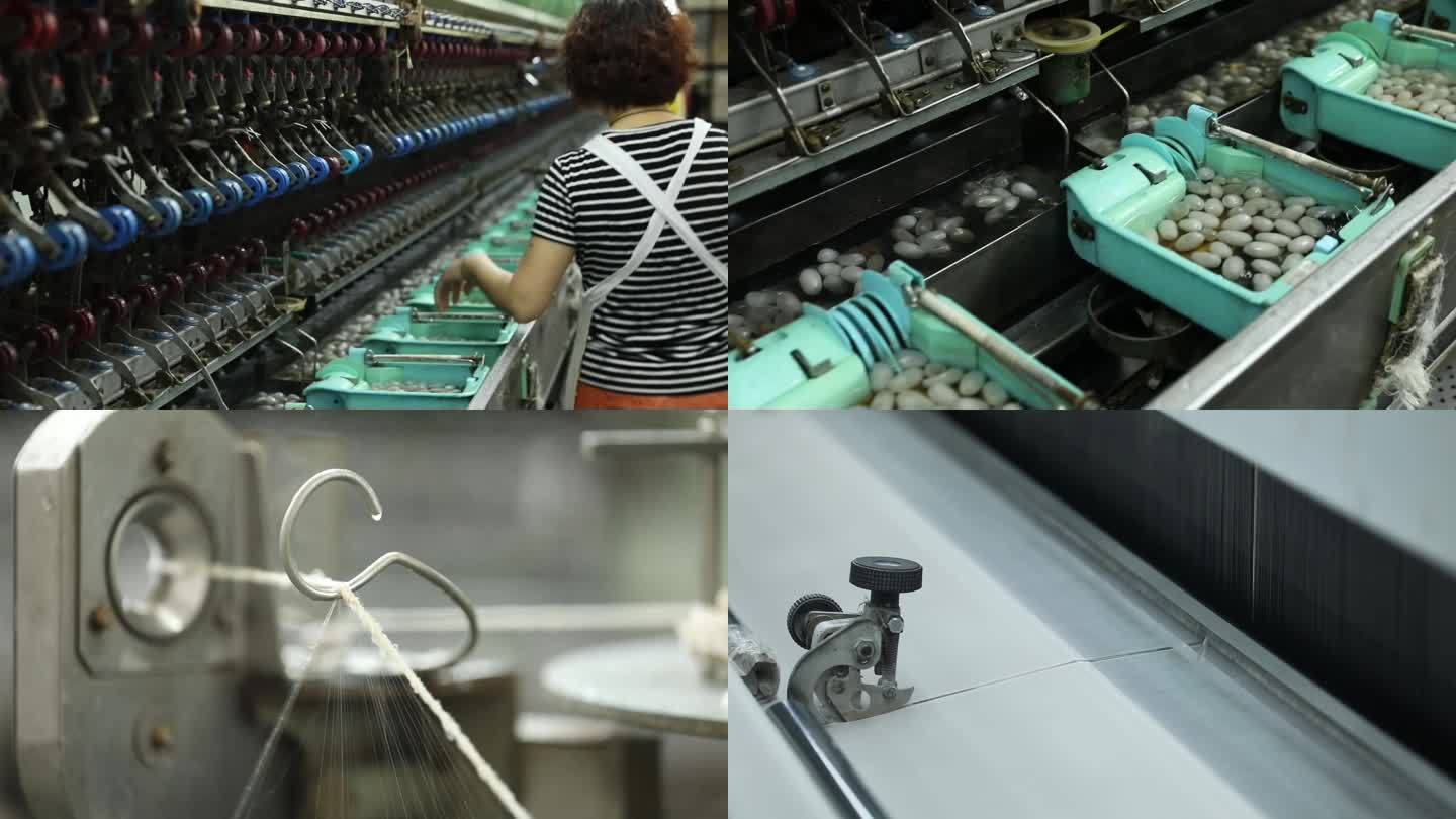 浙丝二厂 纺织生产车间 抽丝剥茧