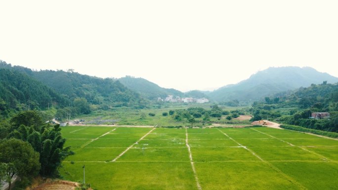 农田的航空摄影