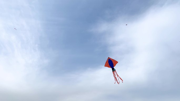 天空风筝 鱿鱼风筝