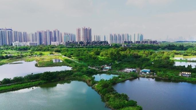 无人机拍摄的香港夏季养鱼场