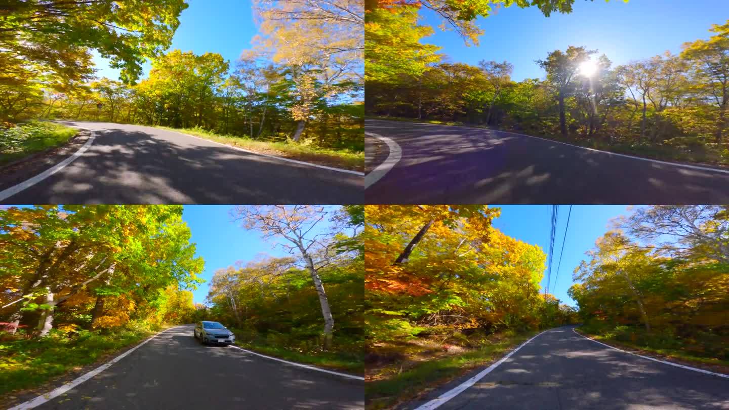 行驶在长野县滋贺县的秋叶路上