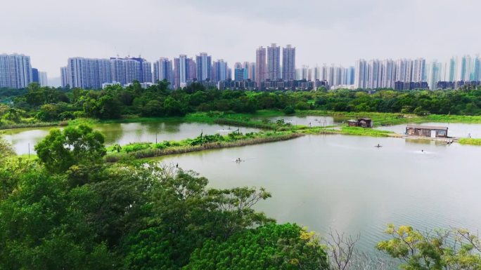 无人机拍摄的香港夏季养鱼场