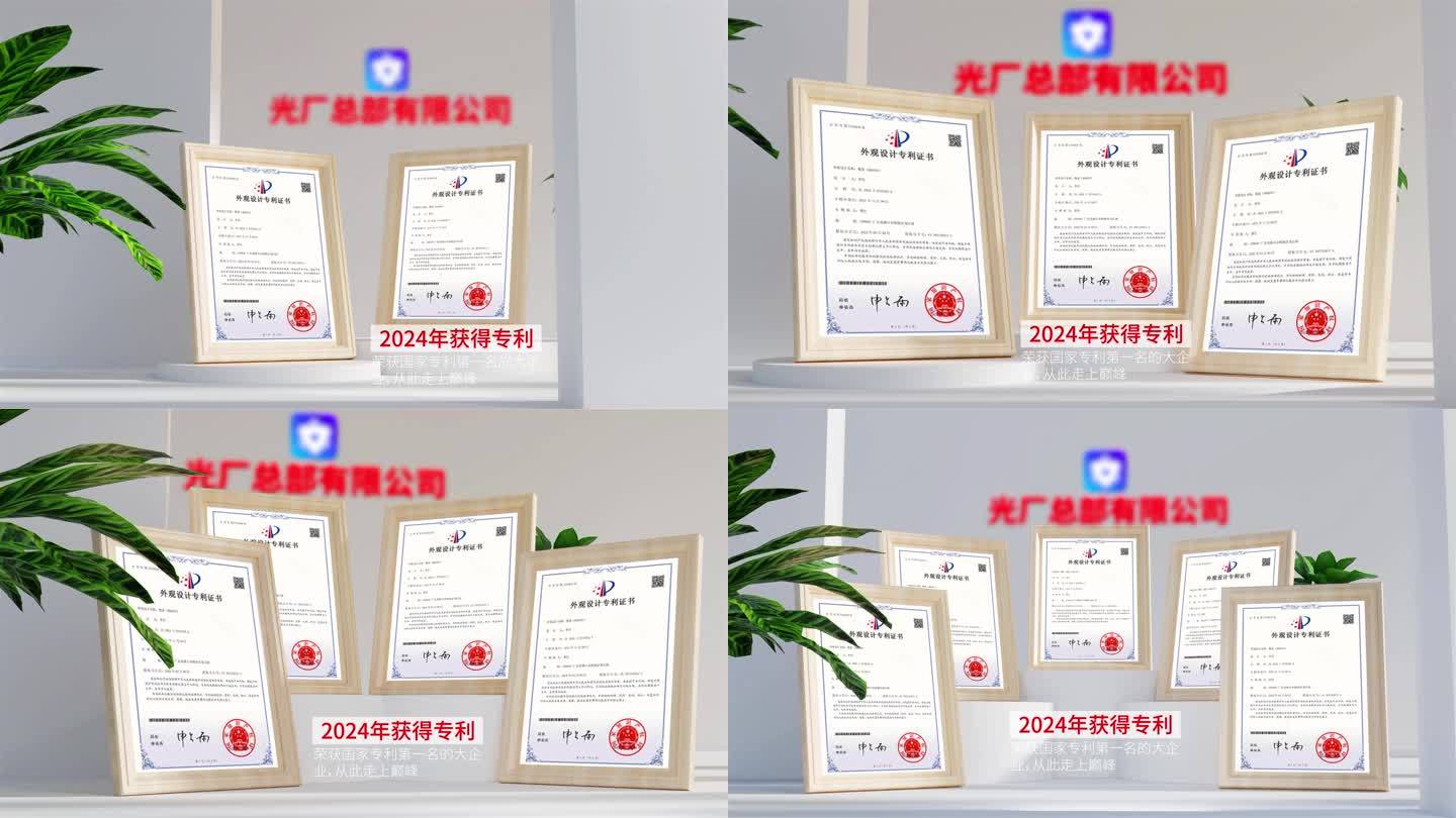 高端简洁荣誉专利奖状证书包装AE模板
