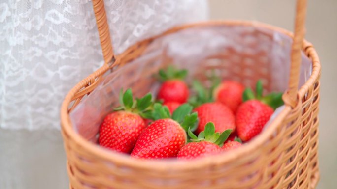 篮筐里的草莓