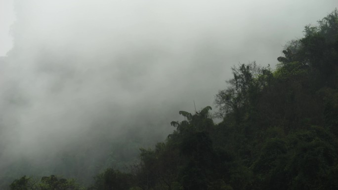 山雾自然风景