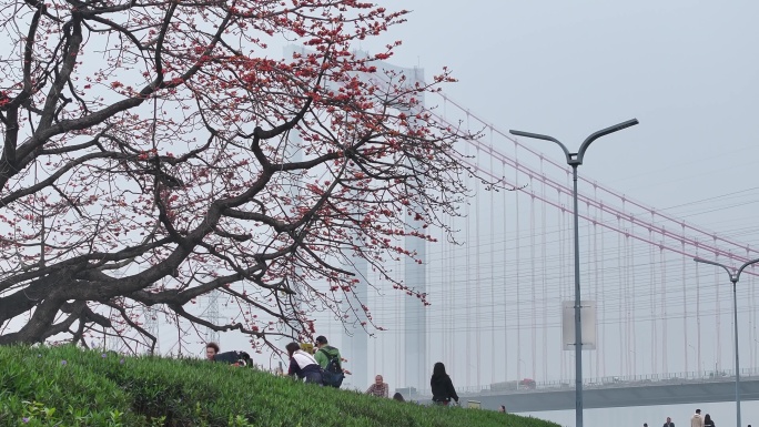 中国广东省佛山市平胜大桥木棉花