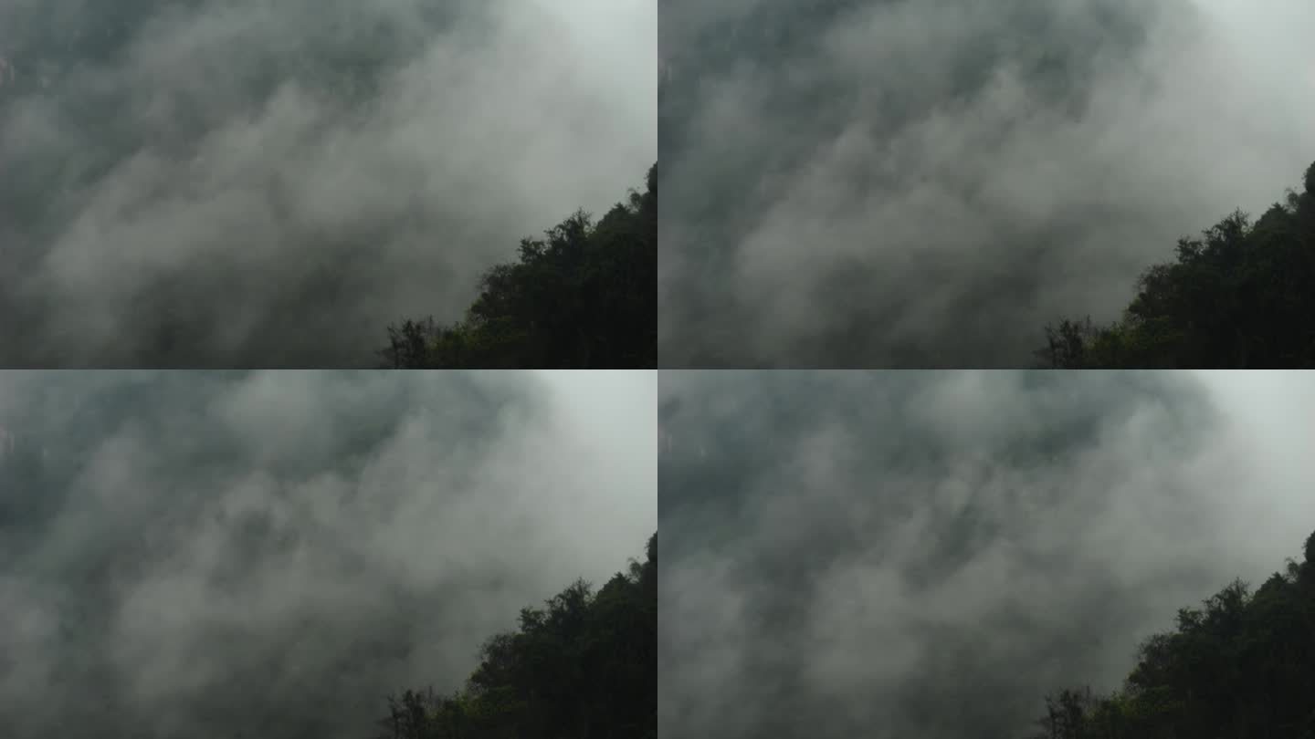 雾 雾景 云雾缭绕