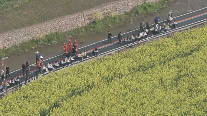 雅安市名山区油菜花春天