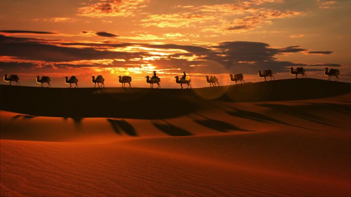 沙漠 驼队 丝绸之路 一带一路 日出
