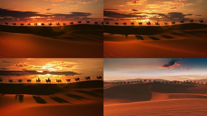 沙漠 驼队 丝绸之路 一带一路 日出