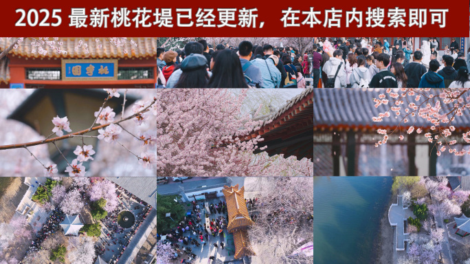 春天踏青赏花拍照 2024天津运河桃花节