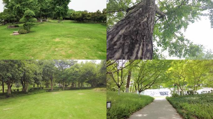 城市公园绿化草木运镜空镜头视频素材4