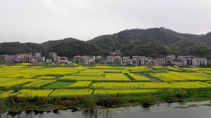 水洞底孙水河畔的油菜花