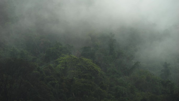 雨天雾景