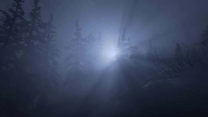 月光迷雾森林