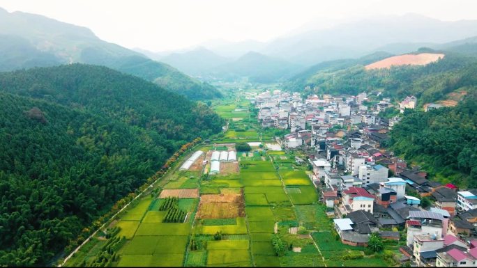 农田的航空摄影