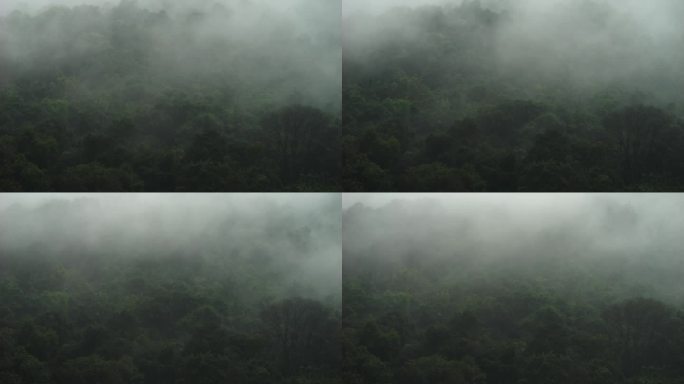 山雾自然风景
