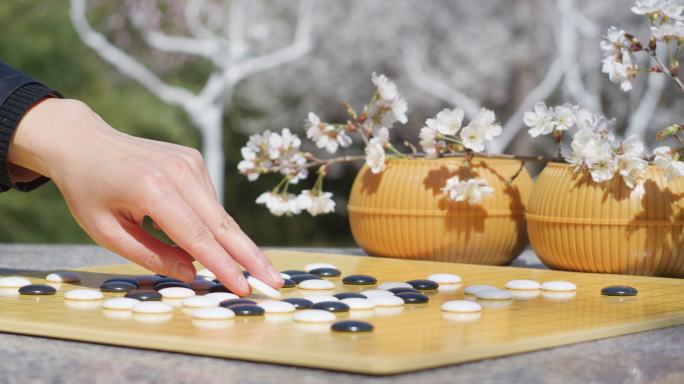 品茶喝茶下围棋看书