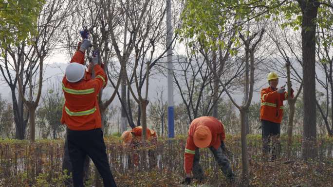 4K园林环卫工人 城市绿化 劳动者 修剪