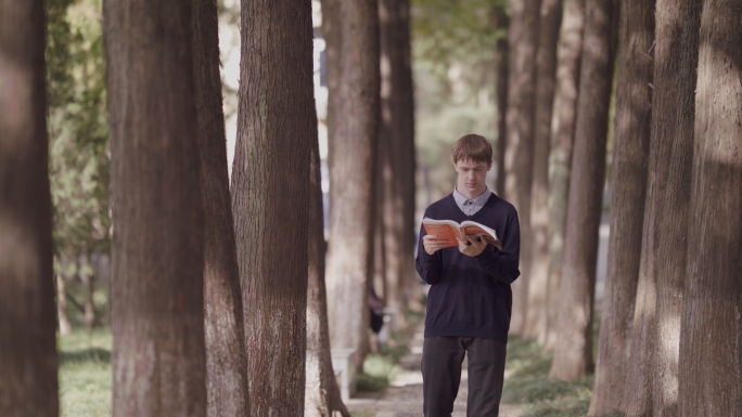 男孩走在洒满阳光的树林里看书学习