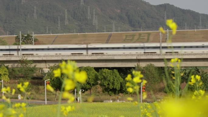 中国高铁动车和谐号复兴号驶过农田油菜花