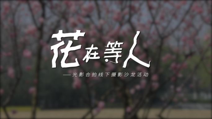 创意个性设计字幕标题AE模板