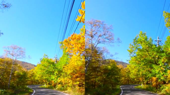 行驶在长野县滋贺县的秋叶路上
