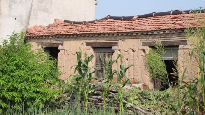 农村无人居住的破旧房屋 年久失修的房屋