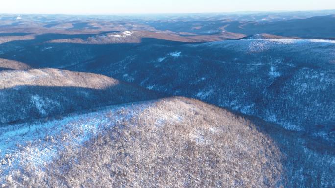 大兴安岭冬季黎明雪色山林