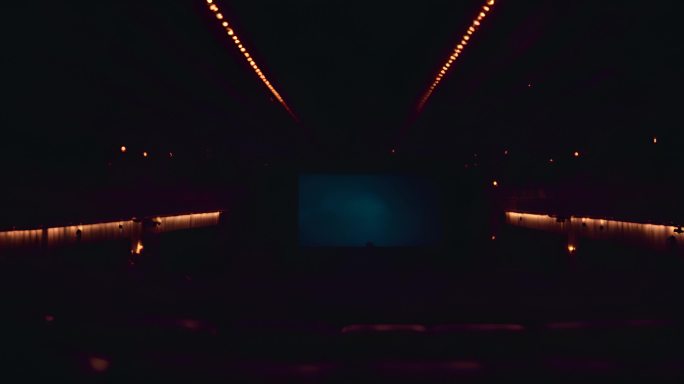 观众在黑暗的电影院看电影的人