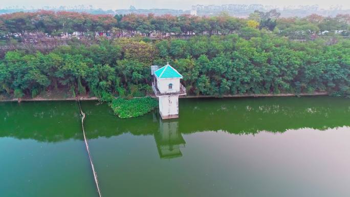 相思湖公园夕阳水纹观测站