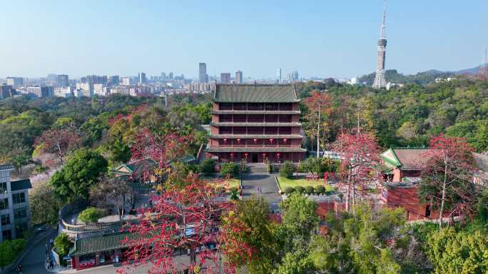 广州越秀山镇海楼航拍