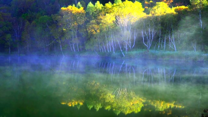 秋天的木户式池塘:清晨的阳光照在薄雾和树叶上，长野县