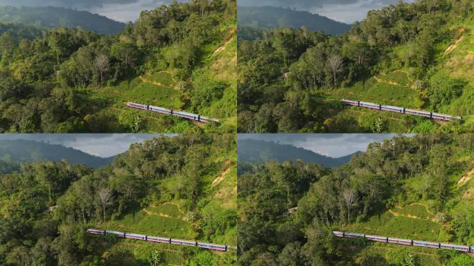 鸟瞰图:火车经过斯里兰卡的茶园