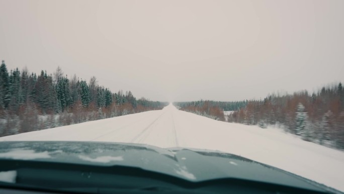 卡车行驶在白雪覆盖的冬季公路上，两边都是树木