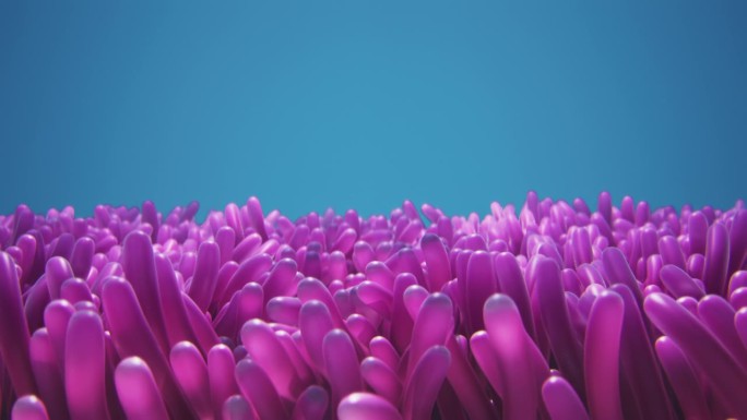 粉色海藻海葵在水下摇摆的3d渲染