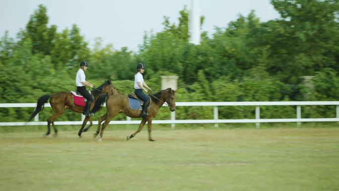 4K马术俱乐部马场骑马训练体验