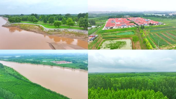 雨后黄河沿岸 枯水期河床 环境保护