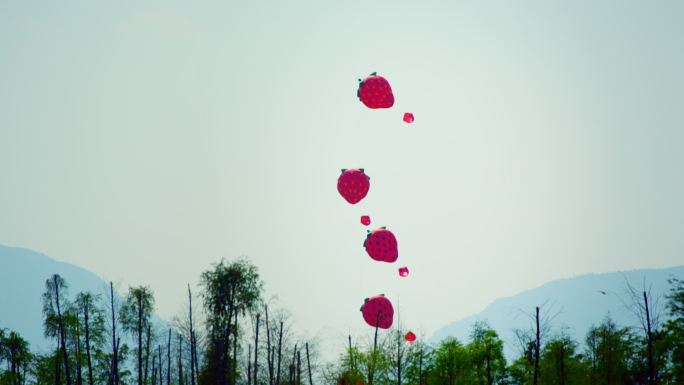空中飘动的风筝和气球