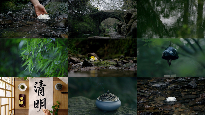 清明节白菊花黄菊花祭奠下雨清明献花意境