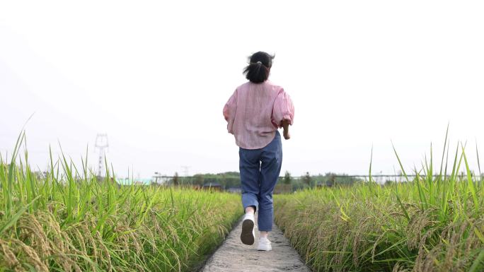 稻田奔跑的女人背影