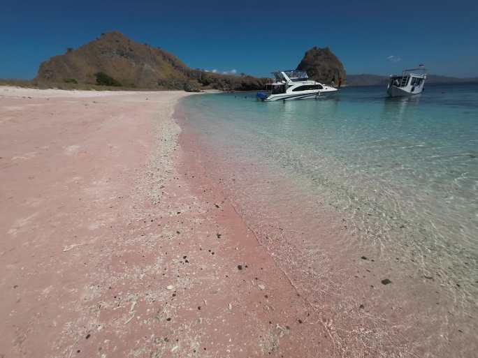 印度尼西亚科莫多岛著名景点网红粉色沙滩