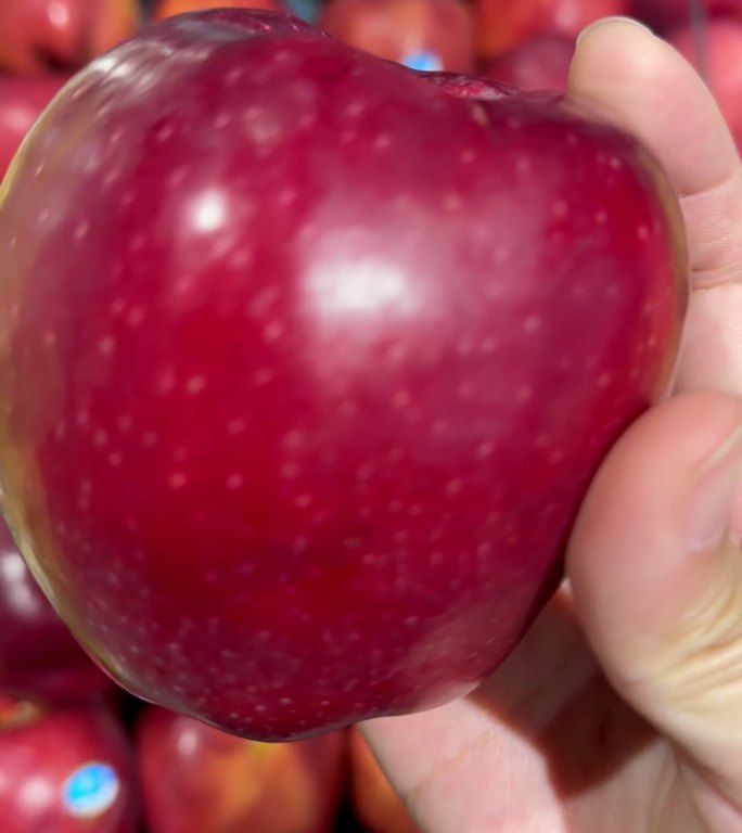 水果 苹果 apple 视频素材