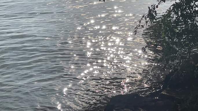 湖面波光粼粼意境素材原声实拍