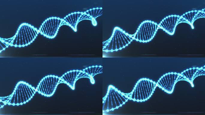 旋转推进的DNA基因分子4kAE工程