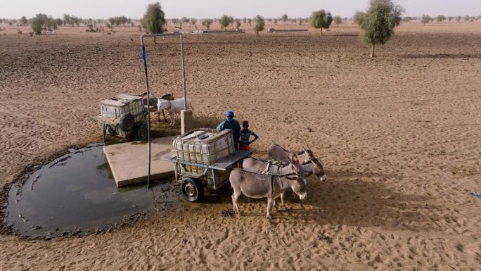 航拍缩小。在塞内加尔撒哈拉沙漠的萨赫勒地区，一名黑人在驴车后面装着一个塑料容器，里面装满了深井里的饮