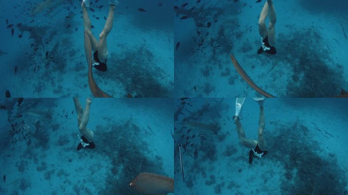 自由潜水的女人与护士鲨鱼和潜水员在热带蓝色的海洋深处游泳